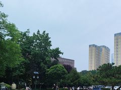 -临沂市博物馆