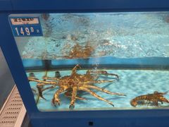 -麦德龙(浦东店)