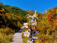 景点-北京灵山风景区