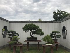 -盆景园(扬州大运河文化旅游度假区)