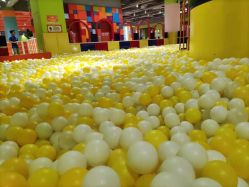 -宝燕乐园(闵行旗舰店)