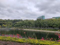 -深圳龙潭公园