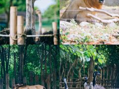 -常州淹城野生动物世界