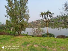 -枫香湖儿童公园