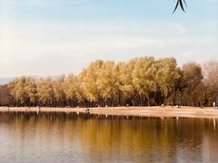 -森林公园(尖草坪区)