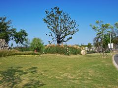 -上海长兴岛郊野公园