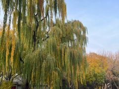 -玲珑塔公园