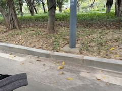 -厦门园林博览苑