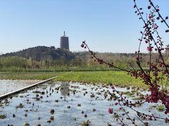 -永定河休闲森林公园