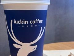 -瑞幸咖啡(凯德龙之梦莘庄店)