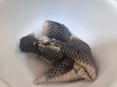 -荔城生鲜盛宴(番禺旗舰店)