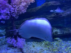 -海合安武汉极地海洋公园