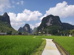 -明仕田园