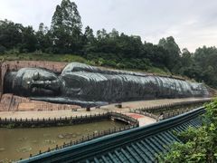 -三水森林公园
