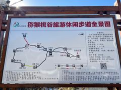 -大岭沟猕猴桃谷风景区