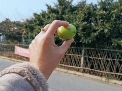-雨花胜境