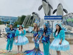 -石家庄极地海洋世界