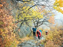 -阳台山自然风景区