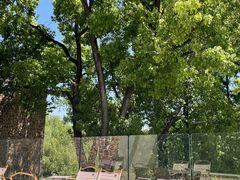 -J Create城市露营咖啡·简餐·宠物(上海动物园店)