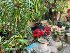 -园林美食城·本土农家菜(杨和镇店)