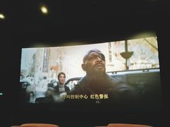 放映厅-红星电影世界上海张江绿地店