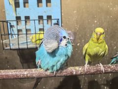 -观盐·盐帮菜(官园桥店)