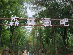 -洛阳白云山景区