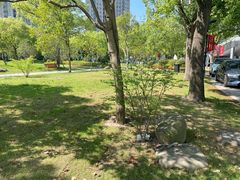 -上海市第一人民医院(松江南部)