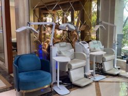 -碧莲盛·不剃发植发