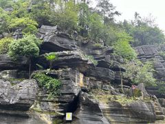 -梭布垭石林景区