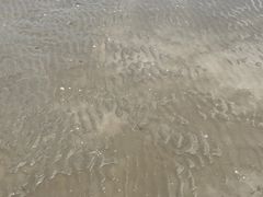 -碧海金沙