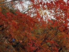 -丹东天桥沟景区