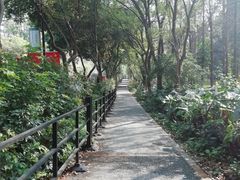 -广州市白云山风景名胜区