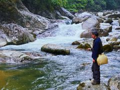 -炎陵县神农谷国家森林公园