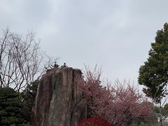 -昆山城市生态森林公园