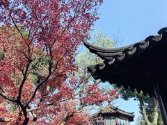 -拙政园