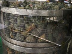 -赵记粽子(司前街店)