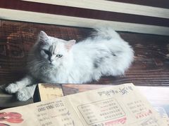 -王红军龙虾(新民路店)