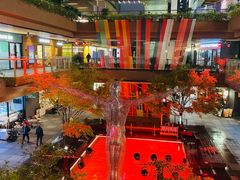 -瑞虹新天地月亮湾