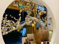 -不凡脑禅境·养生·舒压调理SPA(华发世纪城店)