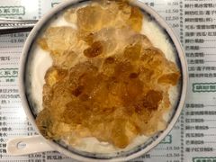 桃胶双皮奶-仁信老铺(华盖路店)