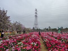 -盈香心动乐园