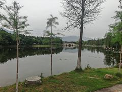 -飞来湖湿地公园