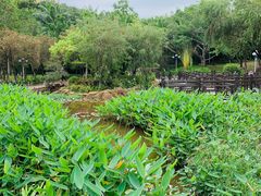 -深圳龙潭公园