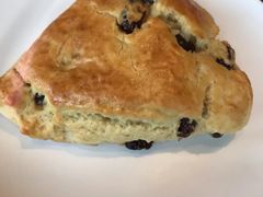 提子干黄油司康-星巴克(济宁万达广场店)