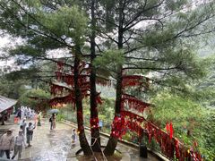 -苍山感通索道