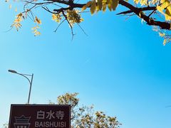 -白水寺森林公园