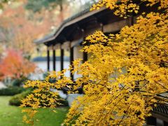 -杭州九堡客运中心