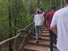 -石燕湖生态旅游景区