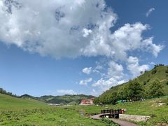 -关山草原